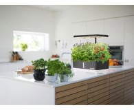 Rainpoint Zestaw do uprawy hydroponicznej - 1540784 - zdjęcie 3
